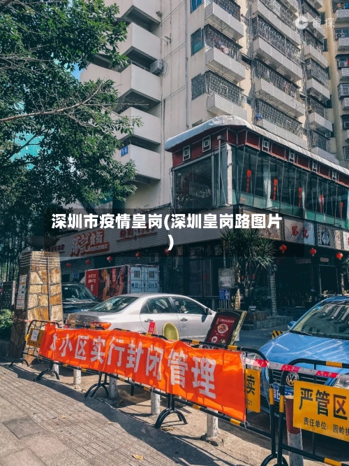 深圳市疫情皇岗(深圳皇岗路图片)-第2张图片