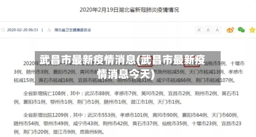 武昌市最新疫情消息(武昌市最新疫情消息今天)