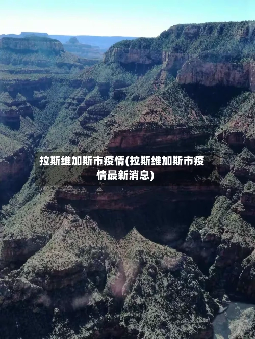 拉斯维加斯市疫情(拉斯维加斯市疫情最新消息)