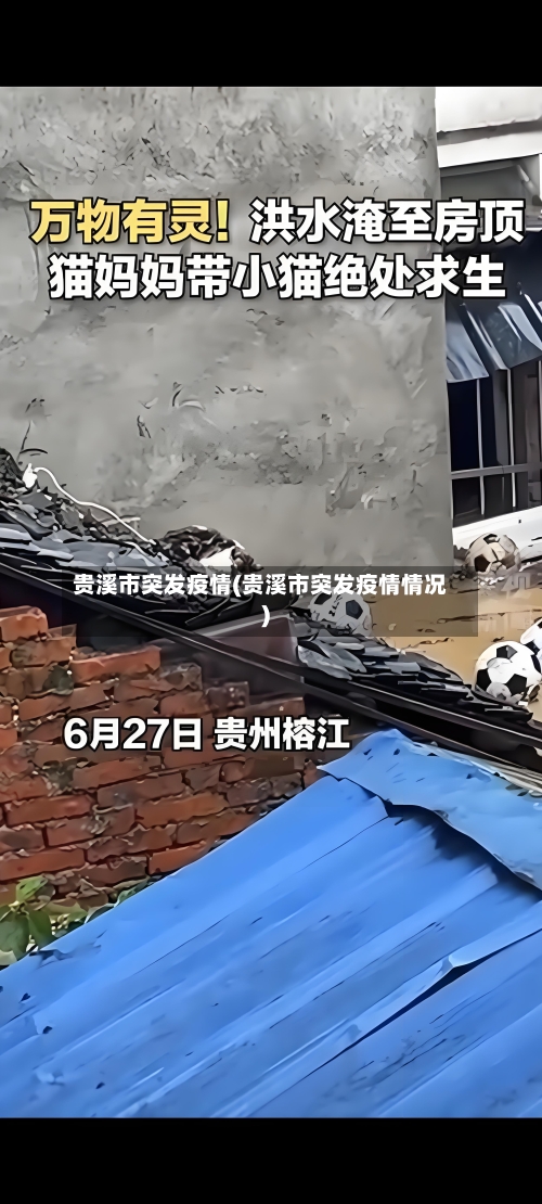 贵溪市突发疫情(贵溪市突发疫情情况)-第3张图片