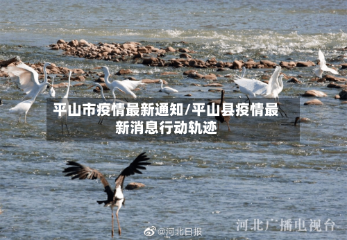 平山市疫情最新通知/平山县疫情最新消息行动轨迹