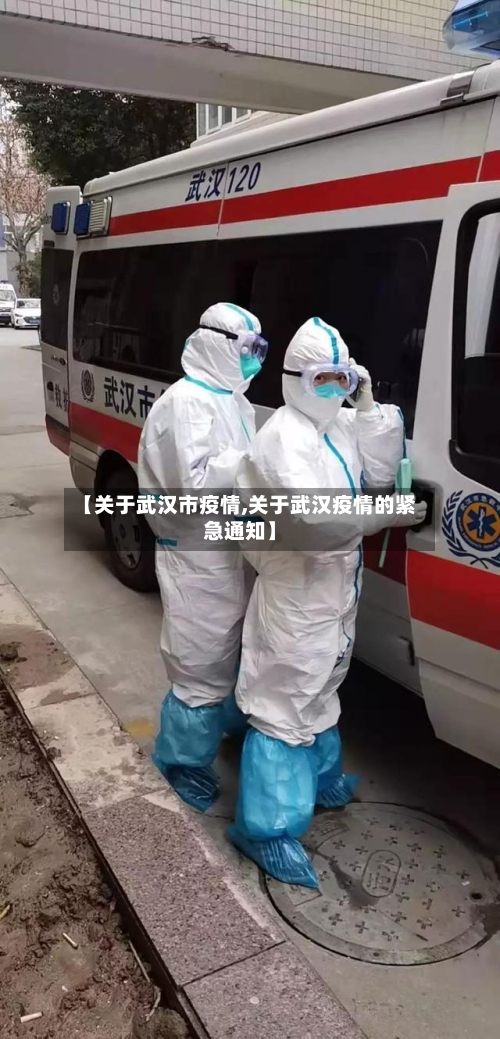 【关于武汉市疫情,关于武汉疫情的紧急通知】-第3张图片