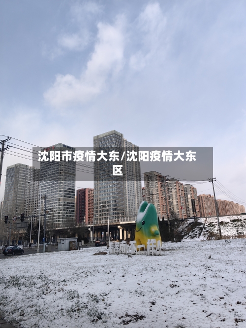 沈阳市疫情大东/沈阳疫情大东区