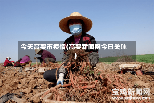 今天高要市疫情(高要新闻网今日关注)