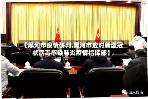 【黑河市疫情研判,黑河市应对新型冠状病毒感染肺炎疫情指挥部】-第3张图片