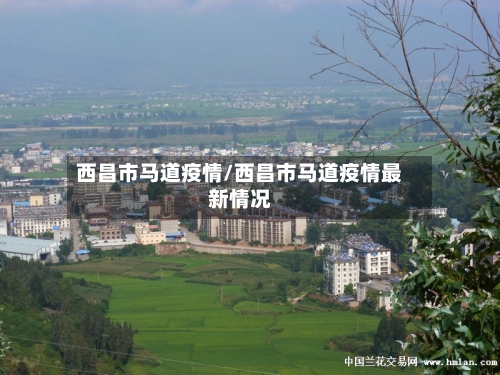 西昌市马道疫情/西昌市马道疫情最新情况-第2张图片