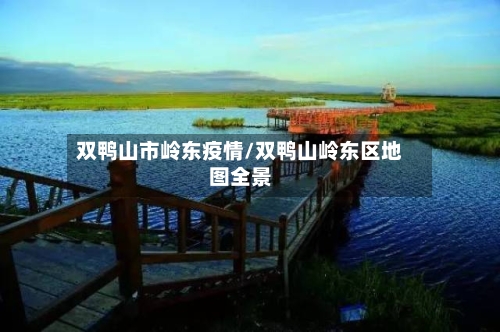 双鸭山市岭东疫情/双鸭山岭东区地图全景-第2张图片