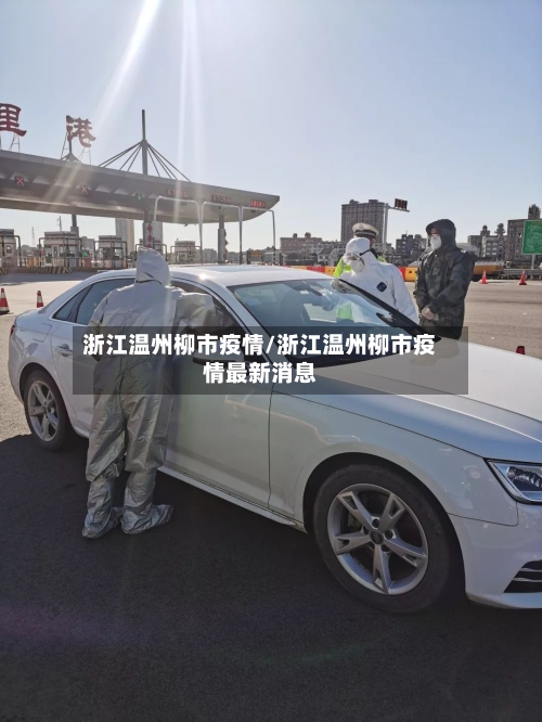 浙江温州柳市疫情/浙江温州柳市疫情最新消息