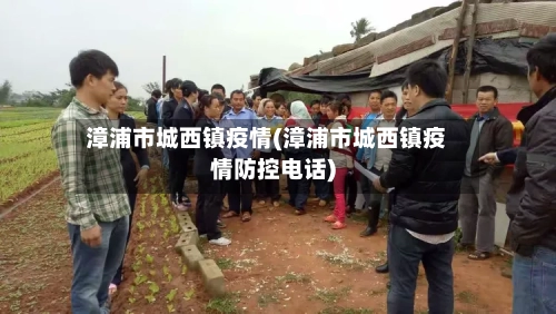 漳浦市城西镇疫情(漳浦市城西镇疫情防控电话)