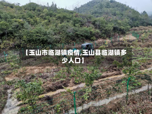 【玉山市临湖镇疫情,玉山县临湖镇多少人口】