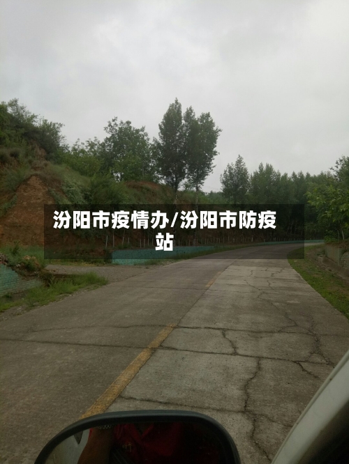 汾阳市疫情办/汾阳市防疫站-第2张图片