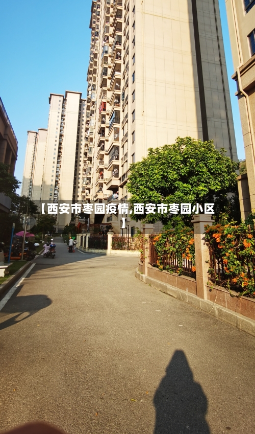 【西安市枣园疫情,西安市枣园小区】
