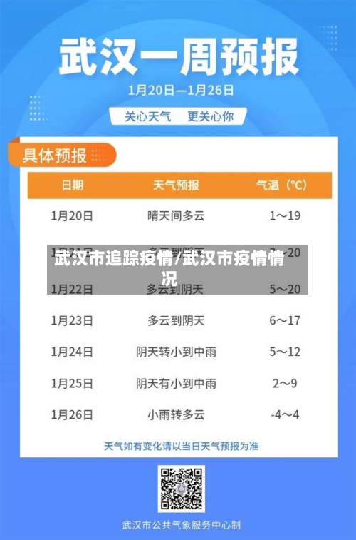 武汉市追踪疫情/武汉市疫情情况