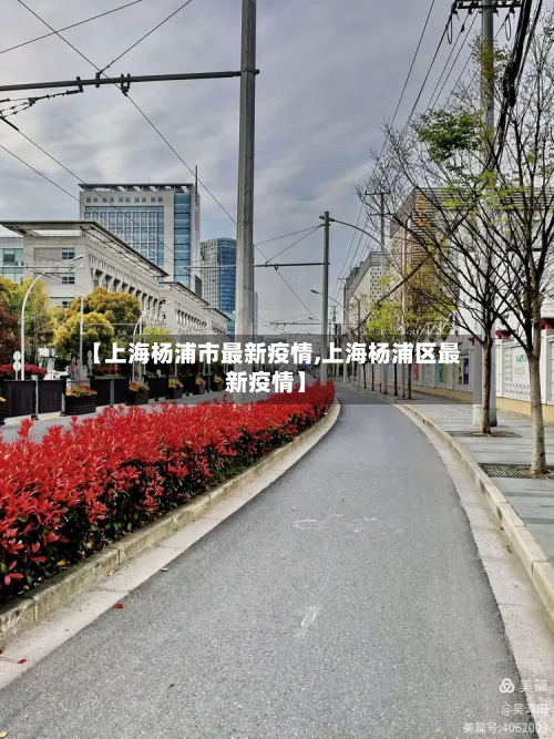 【上海杨浦市最新疫情,上海杨浦区最新疫情】-第3张图片
