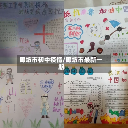 廊坊市初中疫情/廊坊市最新一期-第3张图片