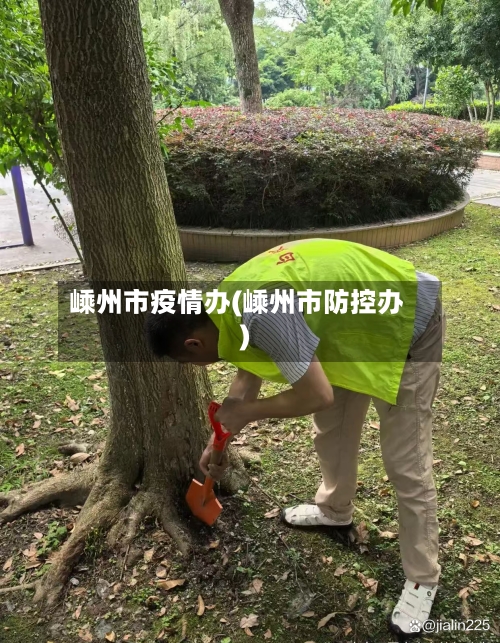 嵊州市疫情办(嵊州市防控办)