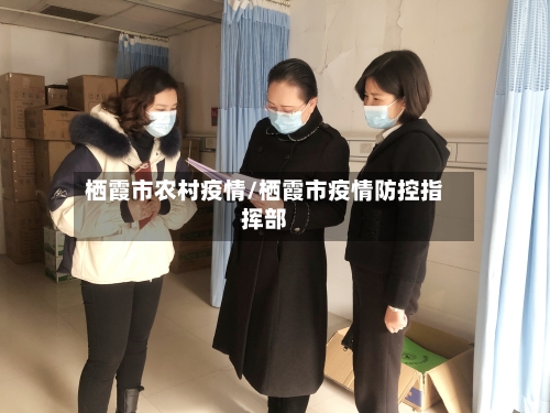 栖霞市农村疫情/栖霞市疫情防控指挥部