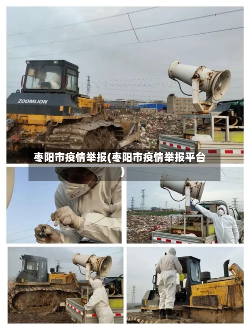 枣阳市疫情举报(枣阳市疫情举报平台)