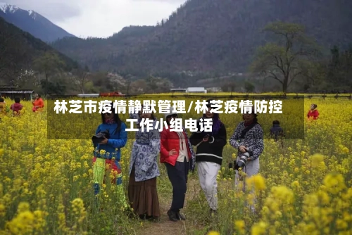 林芝市疫情静默管理/林芝疫情防控工作小组电话-第3张图片