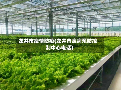 龙井市疫情防疫(龙井市疾病预防控制中心电话)-第3张图片