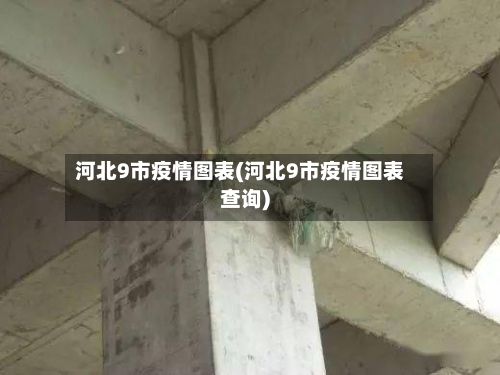 河北9市疫情图表(河北9市疫情图表查询)