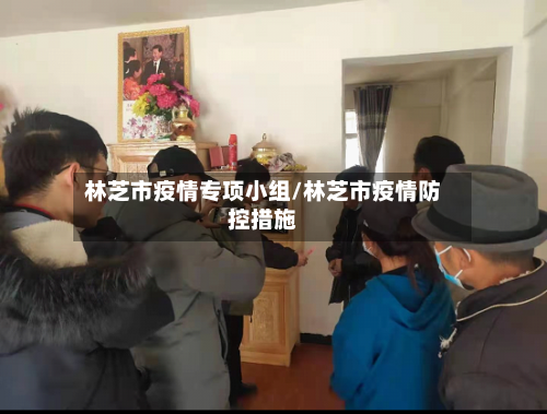 林芝市疫情专项小组/林芝市疫情防控措施