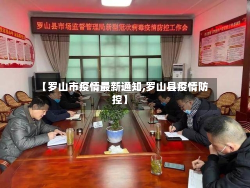 【罗山市疫情最新通知,罗山县疫情防控】-第2张图片