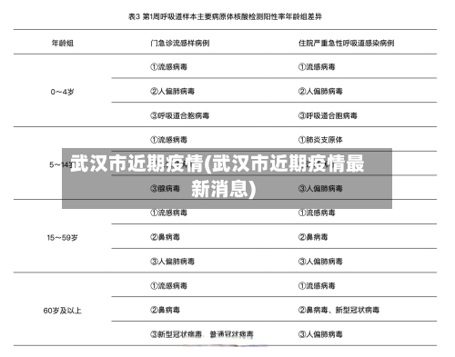 武汉市近期疫情(武汉市近期疫情最新消息)