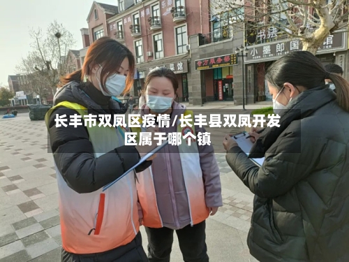 长丰市双凤区疫情/长丰县双凤开发区属于哪个镇