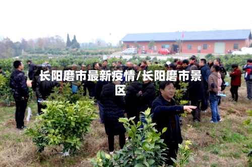 长阳磨市最新疫情/长阳磨市景区