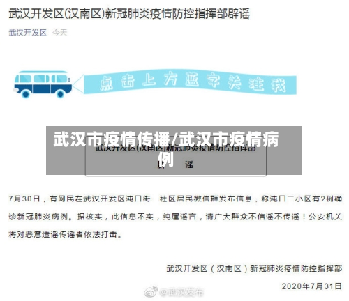 武汉市疫情传播/武汉市疫情病例