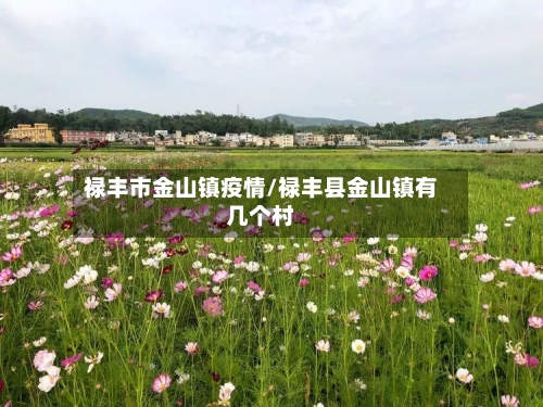 禄丰市金山镇疫情/禄丰县金山镇有几个村-第2张图片