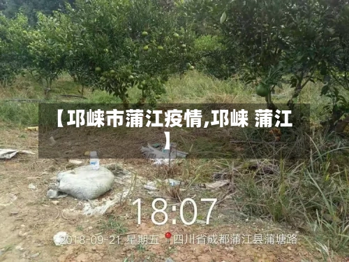 【邛崃市蒲江疫情,邛崃 蒲江】-第2张图片