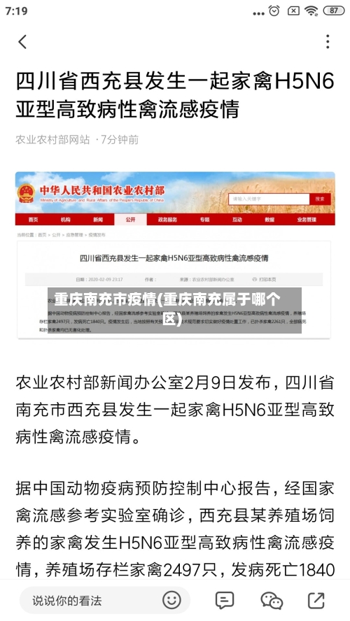 重庆南充市疫情(重庆南充属于哪个区)