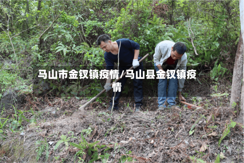 马山市金钗镇疫情/马山县金钗镇疫情