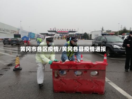黄冈市各区疫情/黄冈各县疫情通报-第3张图片