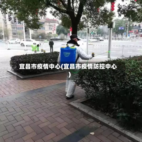 宜昌市疫情中心(宜昌市疫情防控中心)-第3张图片