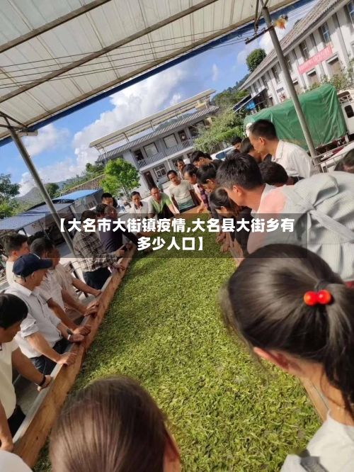 【大名市大街镇疫情,大名县大街乡有多少人口】-第2张图片