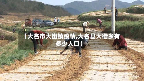 【大名市大街镇疫情,大名县大街乡有多少人口】-第3张图片