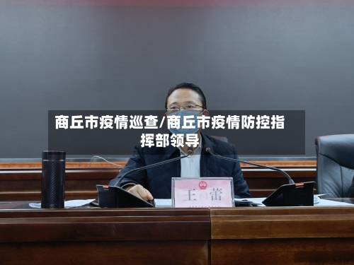 商丘市疫情巡查/商丘市疫情防控指挥部领导