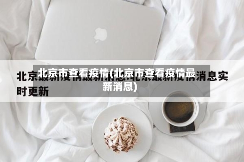 北京市查看疫情(北京市查看疫情最新消息)-第2张图片