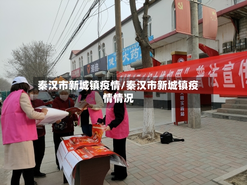 秦汉市新城镇疫情/秦汉市新城镇疫情情况-第2张图片