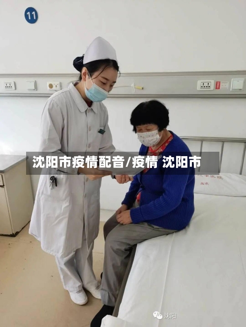 沈阳市疫情配音/疫情 沈阳市