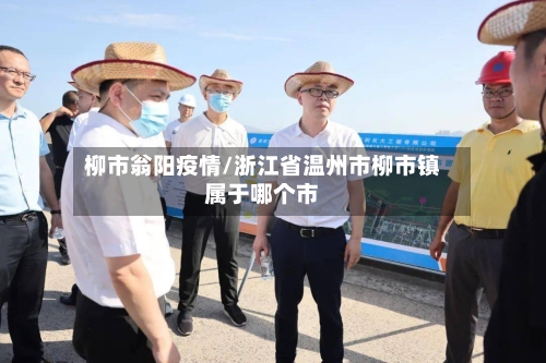 柳市翁阳疫情/浙江省温州市柳市镇属于哪个市