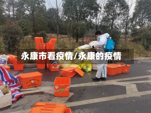永康市看疫情/永康的疫情-第3张图片
