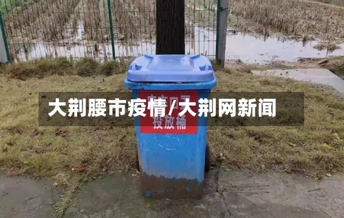 大荆腰市疫情/大荆网新闻-第2张图片