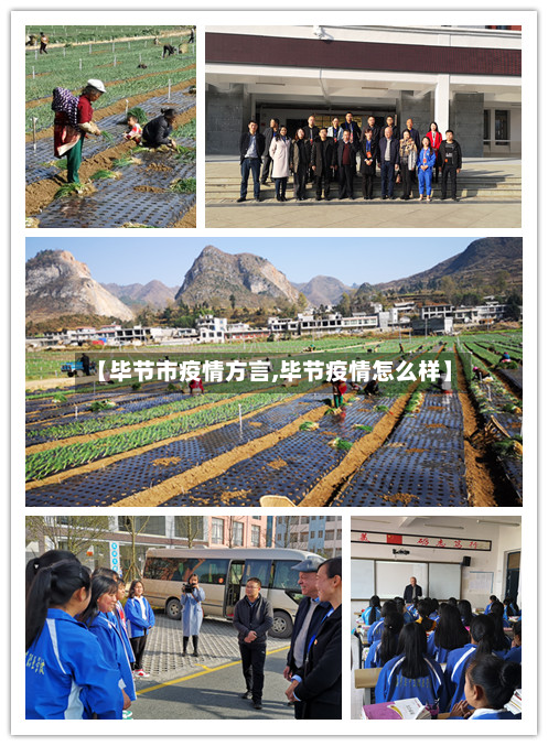 【毕节市疫情方言,毕节疫情怎么样】