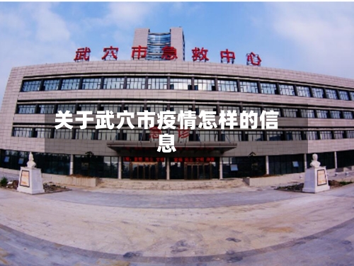 关于武穴市疫情怎样的信息-第3张图片
