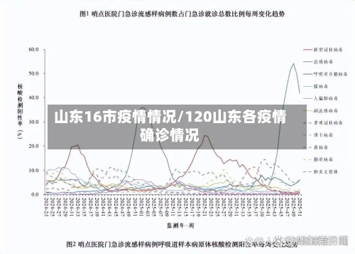 山东16市疫情情况/120山东各疫情确诊情况