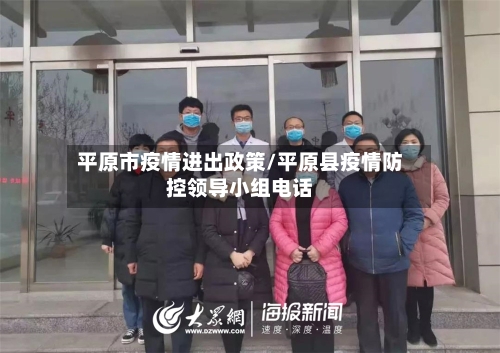 平原市疫情进出政策/平原县疫情防控领导小组电话